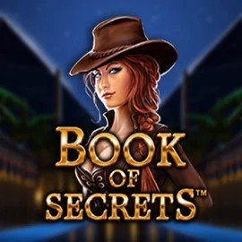 Slots logo of Book of Secrets from SYNOT Games at SpinoGambino Casino